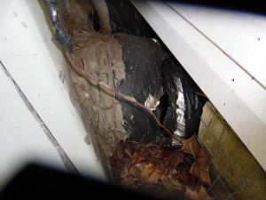 Air Conditioning Duct Inspection
