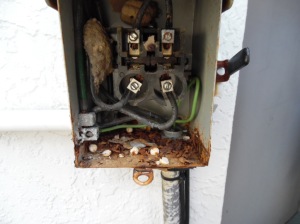 Electrical Box Inspection